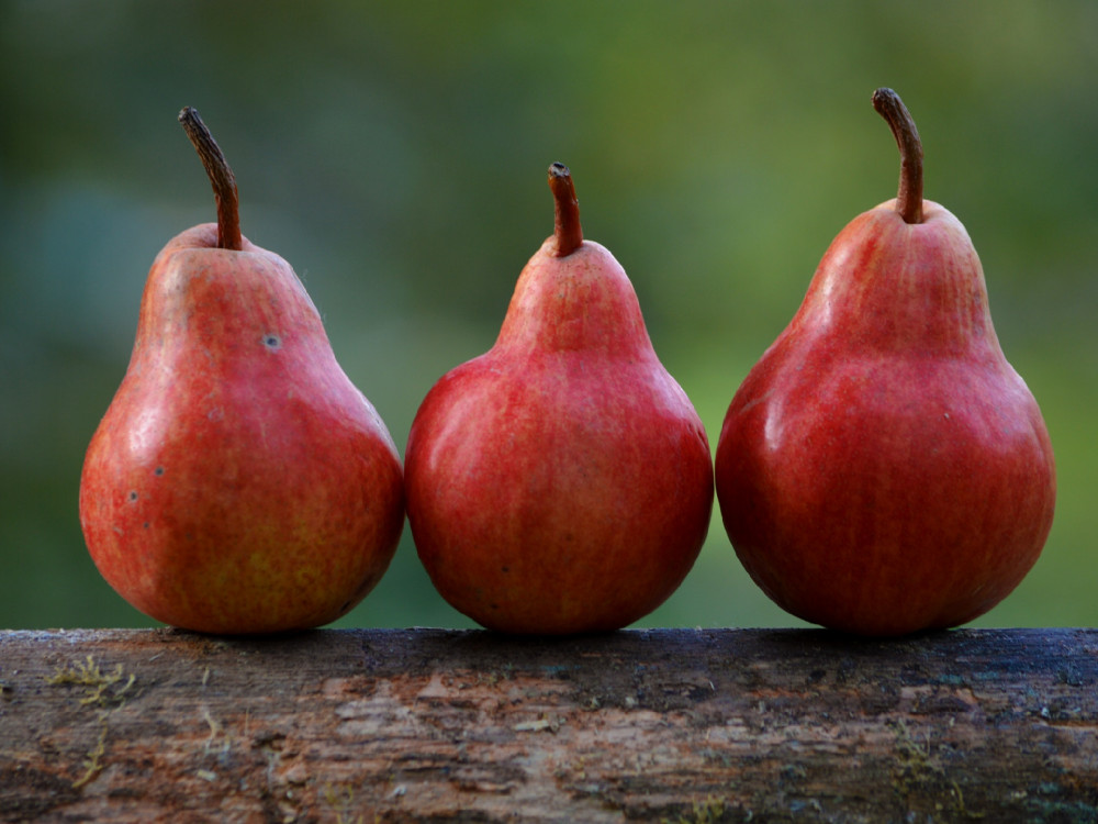 Tutte le news su cibo, dieta e sostenibilità - aprile 2019